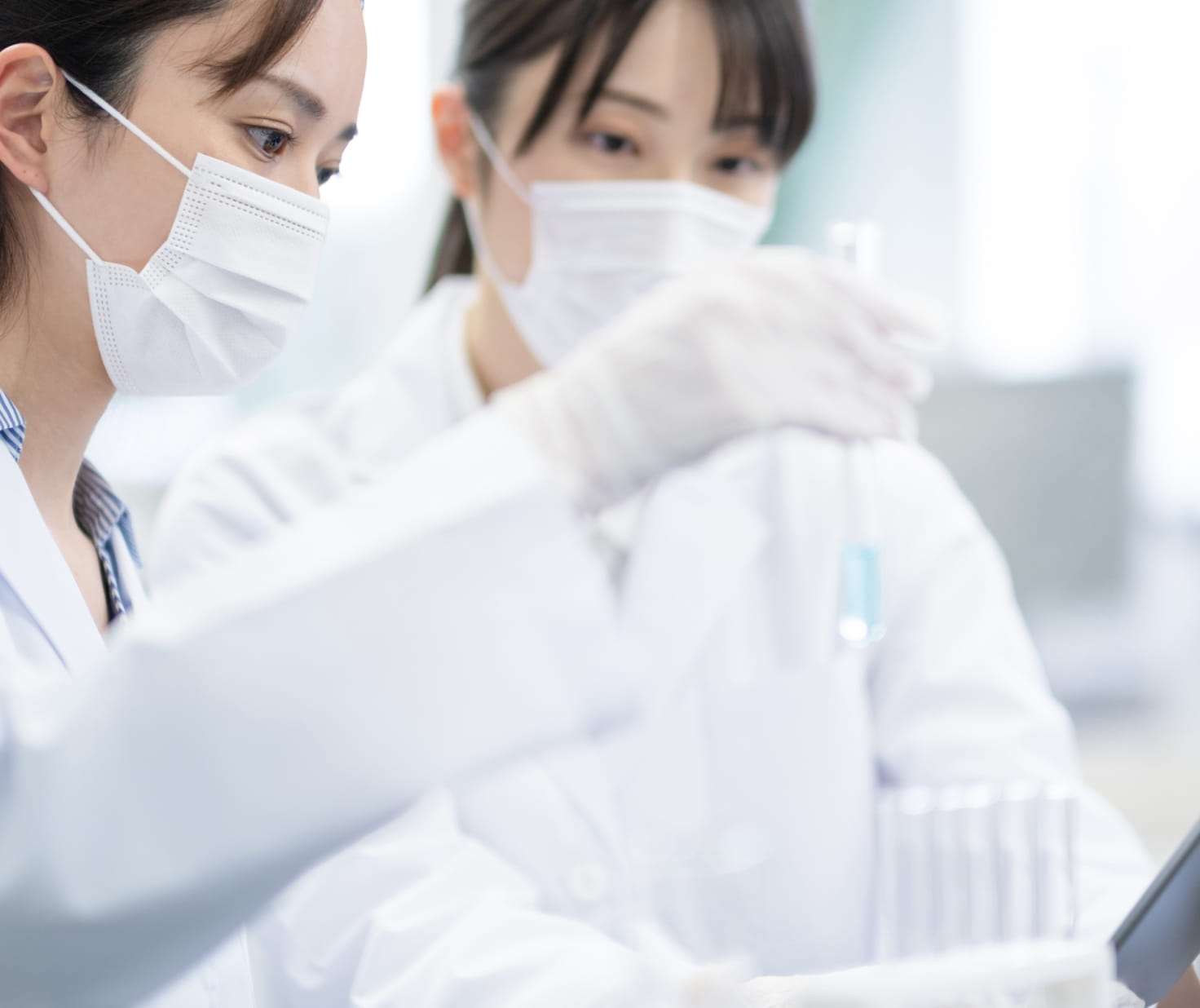 有害物質の規制情報